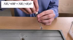 Качественная реакция на катион аммония