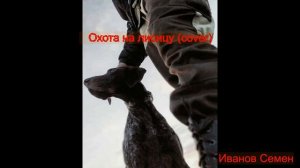 Охота на лисицу (cover) под гитару. Мужской