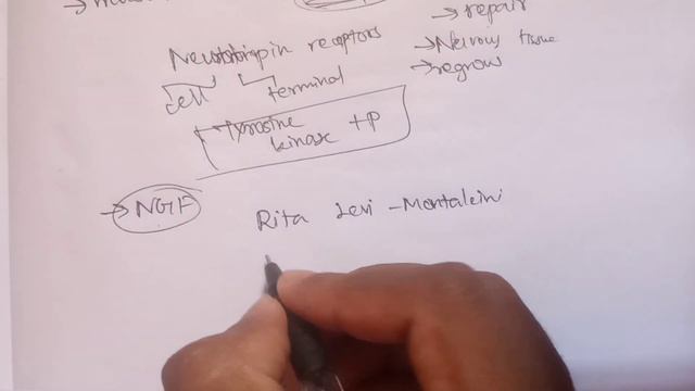 Neurotrophins | Nervous system | Full explanation in Tamil смотреть онлайн