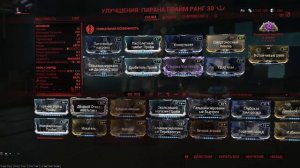 Пирана Прайм СП билд на 16.11.2023 Pyrana Prime The Steel Path