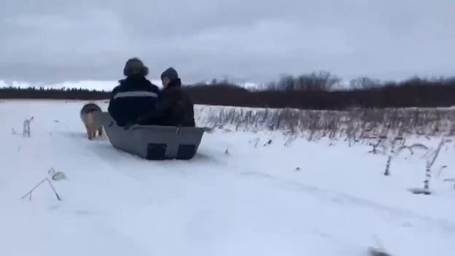 Где живут оленеводы и рыбачат рыбаки