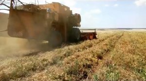 Уборка Озимого Гороха комбаином Дон 1500б 2019 год!  Горох на продажу !
