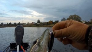 Связка эл.мотора WATERSNAKE FWT30TH + АКБ 55А\Ч (Gel)на рыбалке на малом пруду