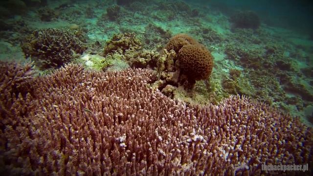 Gili Meno Snorkeling - Canon 600D  Go Pro 3 black