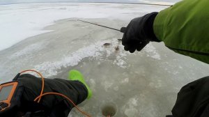 Ловлю окуня на блёсны впайки! Рыбалка на километрах в Новой Ладоге. Блёсны Гвоздь