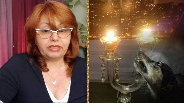 Если воет собака - что это значит и как отвести беду? смотреть онлайн