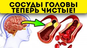 3+ золотых рецепта для очищения сосудов головы