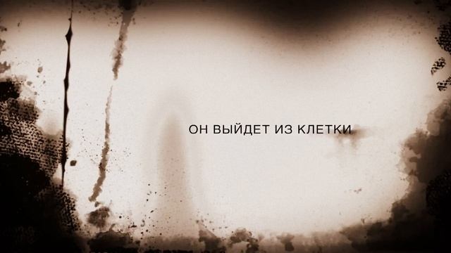 Попугай Убийца смотреть онлайн