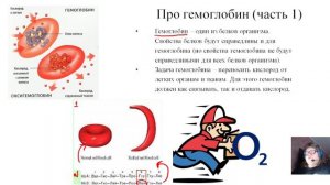 Энергетический обмен, гемоглобин и гипоксия в ЕГЭ