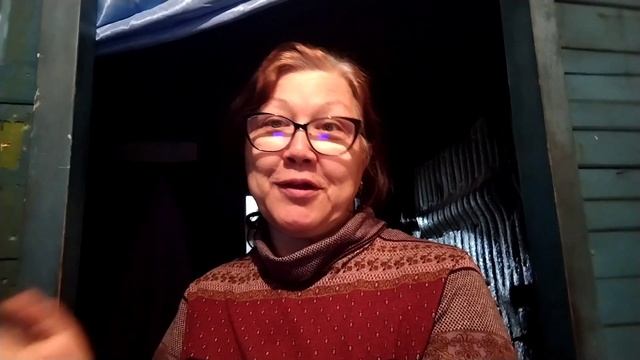 У нас ливни .Меня затопило.Лилии цветут. смотреть онлайн