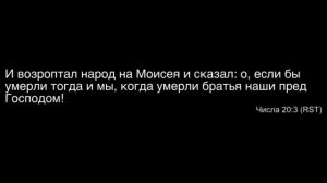 24. Божья повесть_ два ропота (Исход 16-18) – Проповедь Виталия Олийника 10.10.2.mp4