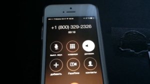 Вызов духов | Звонок в пиццерию Freddy