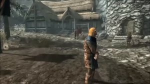 Funny Skyrim Glitch