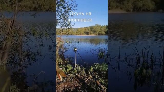 окунь на поплавок в рязани, рыбалка, весна 2022