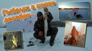 Рыбалка перед Новым годом Такого я ещё не видел!