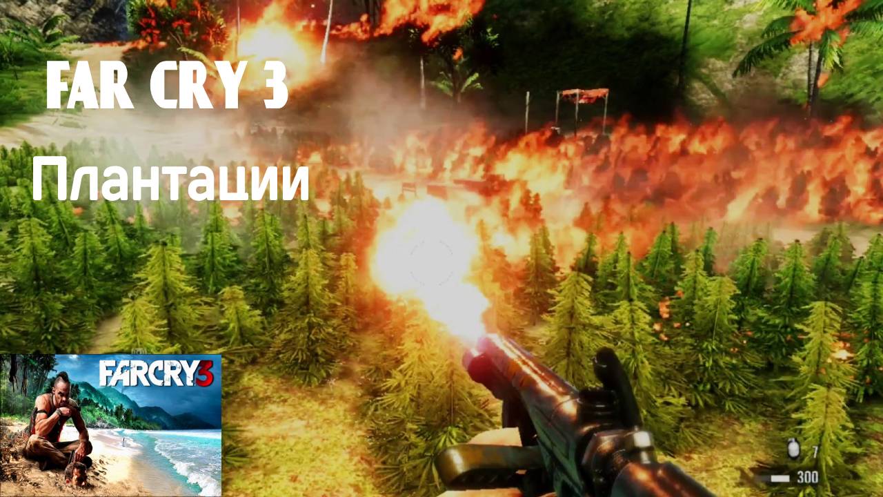 ОСИНОЕ ГНЕЗДО : ПЛАНТАЦИИ #7 FAR CRY3