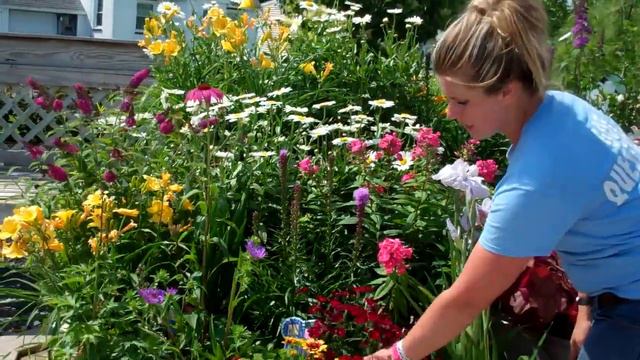 Planting a Cutting Garden смотреть онлайн