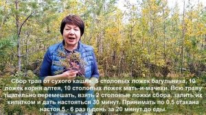 Багульник, одурманивающий и исцеляющий! Рецепты народной медицины. Белорусские болота - "легкие Евро