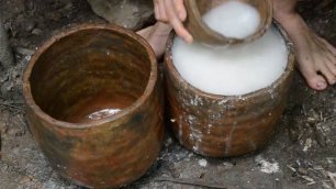 Primitive Technology_ Polynesian Arrowroot Flour