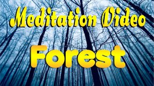 🙏 Meditation Video. Forest