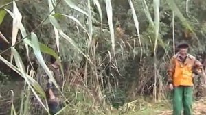 Дельта Волги в октябре Часть 1