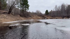 Выход на воду 2024