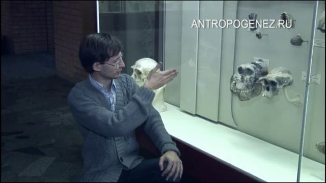 Австралопитеки. Достающее звено #16