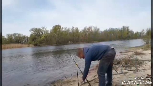 Бешеный клев тарани на снасть 