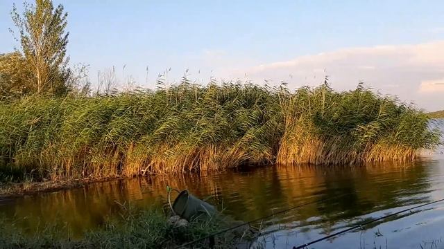 Отдых на водохранилище. Каменка, Лутугинский район.