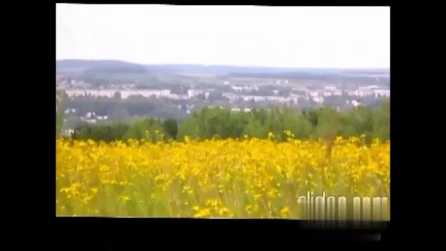 На луга