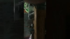 Проверка соленоида