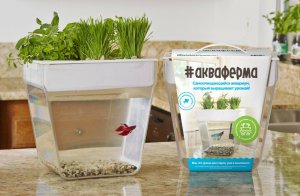 Акваферма. Назад к истокам