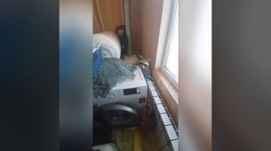 ВИДЕО ОГОНЬ!!! СМОТРЕТЬ ВСЕМ!!! ЕНОТ ИЛЮША РАЗГРОМИЛ КВАРТИРУ ХОЗЯЙКИ!!!