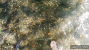 Армения,Вайоцдзорская область,дорога в Гергер,река Гергер, Armenia,Vayots Dzor reg.,Gerger reservoi