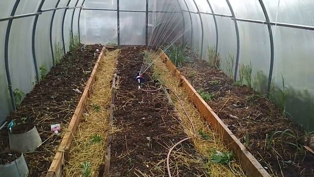Загадка от Алисы/Не женское дело/Умер козёл/Полив в теплице и на огороде/Как уложить ребёнка спать? смотреть онлайн