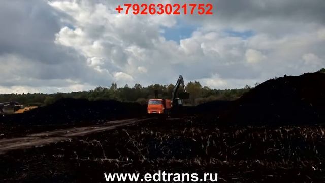 Почвогрунт торф чернозем грунт для газона смотреть онлайн