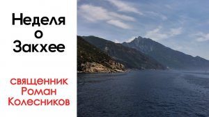 Свящ. Роман Колесников. Поздравление с Неделей о Закхее