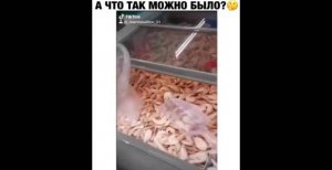 ПРИКОЛ - а что так можно было