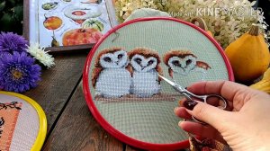 Много процессов.Ланарте,Херитаж,Милл Хилл.Вышивка крестом и бисером. Lanarte,Mill Hill,Heritage.