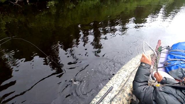 Кимжа | Архангельская область | смотреть онлайн