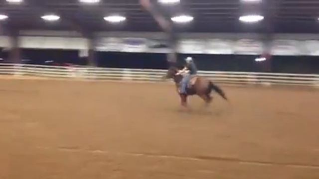 Diva at magnolia смотреть онлайн