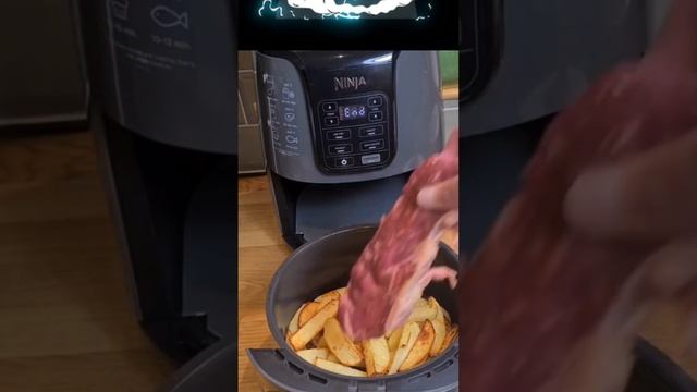 Ninja AF101 Air Fryer that Crisps,Roasts,Reheats,& Dehydrates,for Quick, Easy Meals,4 Quart Capacit