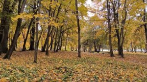 Примеры съёмки с камер Xiaomi 13T Pro - ВСЕ РЕЖИМЫ + НОЧЬЮ + ФРОНТАЛЬНАЯ КАМЕРА