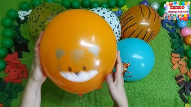 Blowing up balloons?popping balloons?animals balloons pop
