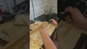 Вывод маток. Крепление восковых мисочек на прививочной рамке!!!!!