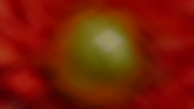 Александр Телегин читает хокку. Басё. Луна или утренний снег смотреть онлайн