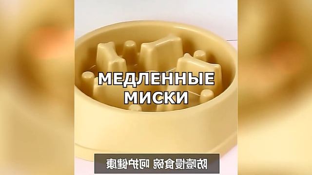 ТОП-8 КОПЕЕЧНЫХ БИЗНЕС ИДЕЙ С БЫСТРОЙ ОКУПАЕМОСТЬЮ! Бизнес идеи! Бизнес 2021!