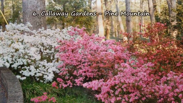 10 Most Beautiful Places To Visit In Georgia смотреть онлайн