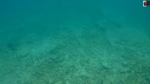 Экшн камера SJCAM SJ5000X Elite Подводная съемка. Underwater survey
