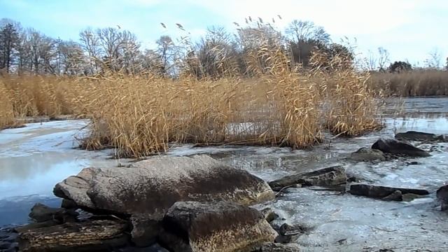 11 февраля народный праздник Лаврентьев день. Что нельзя и что нужно сделать. Народные приметы смотреть онлайн